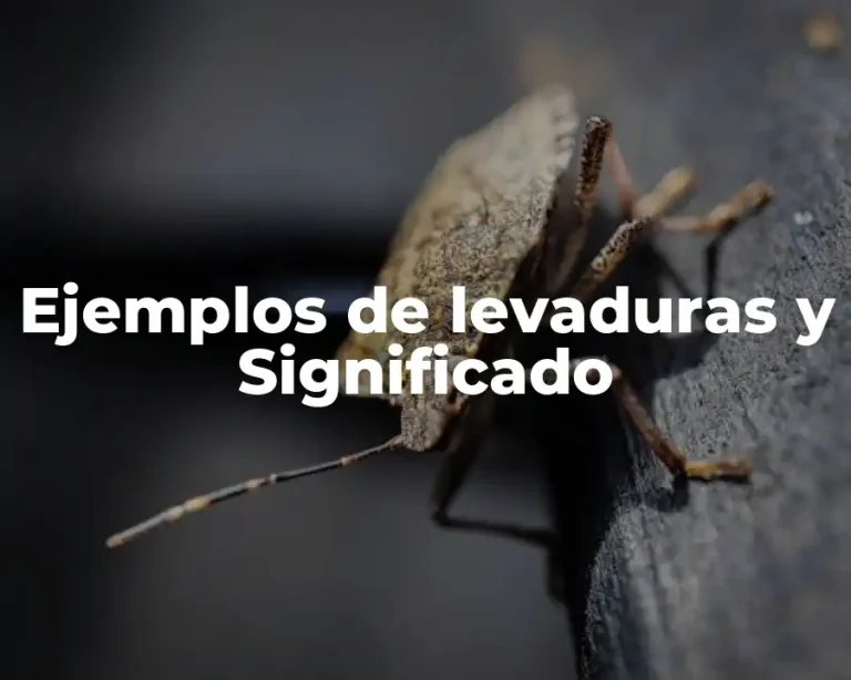 Ejemplos de levaduras y Significado