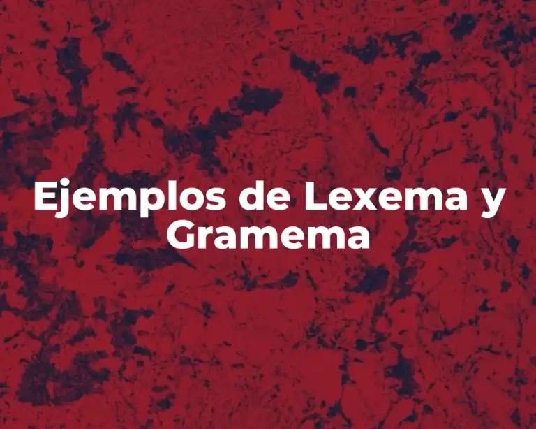 Ejemplos de Lexema y Gramema