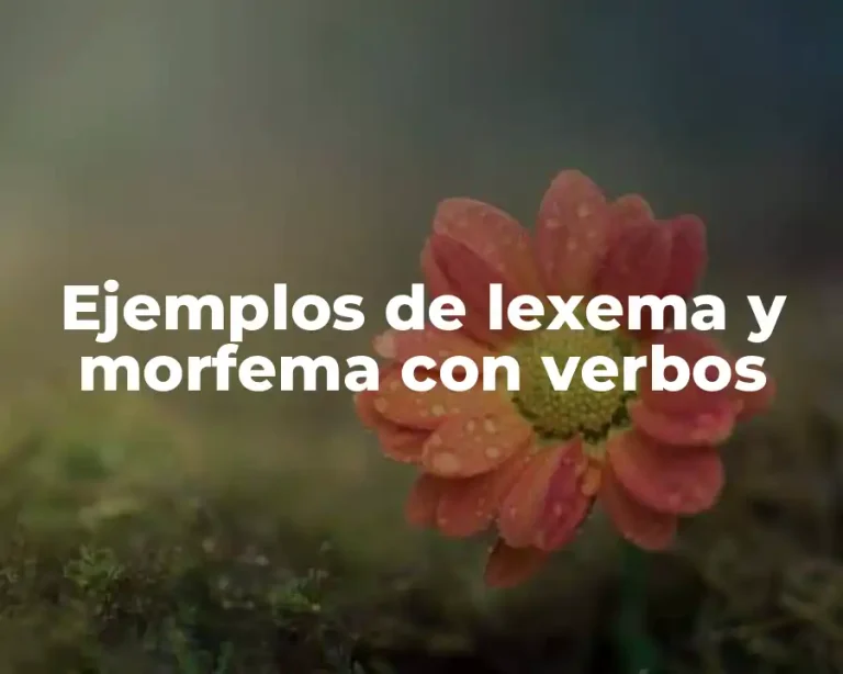 Ejemplos de lexema y morfema con verbos