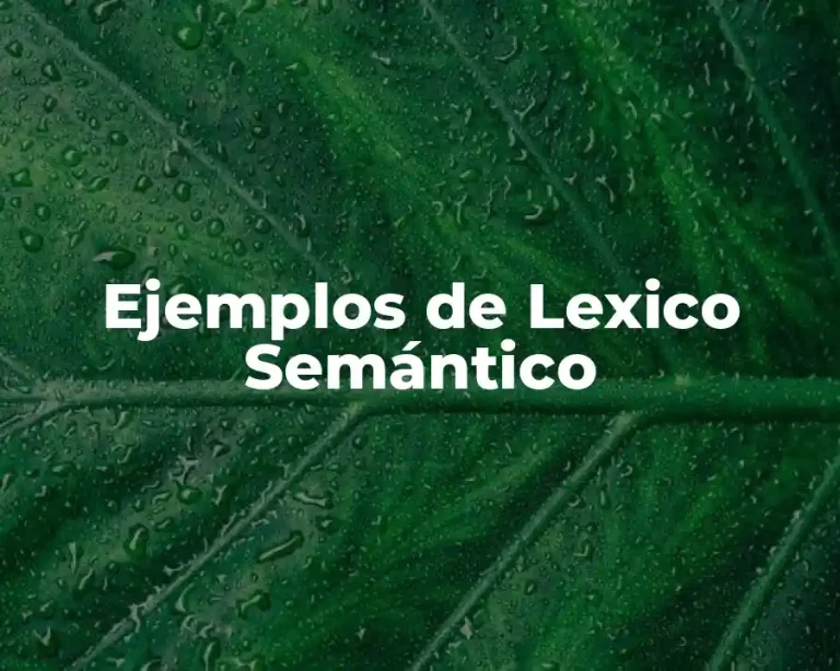 Ejemplos de Lexico Semántico