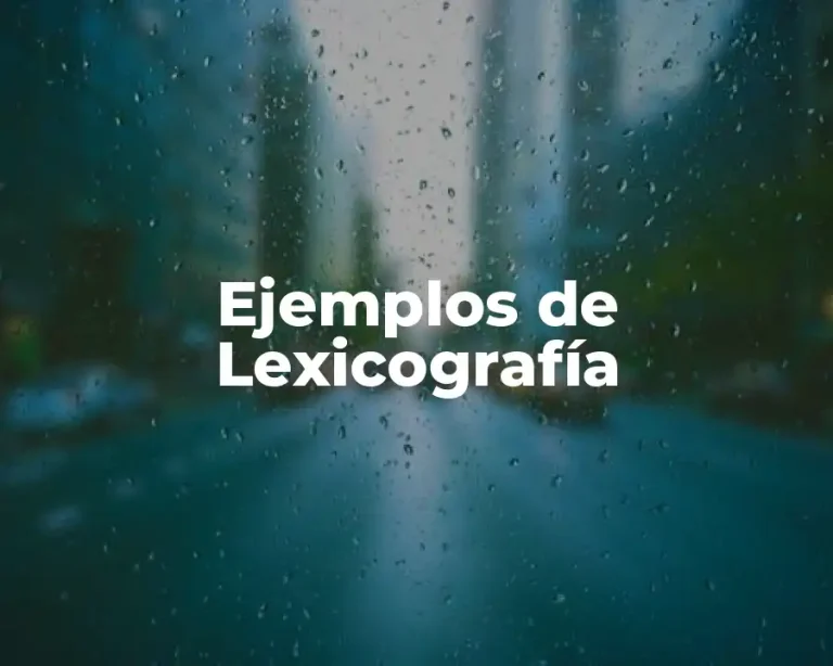 Ejemplos de Lexicografía