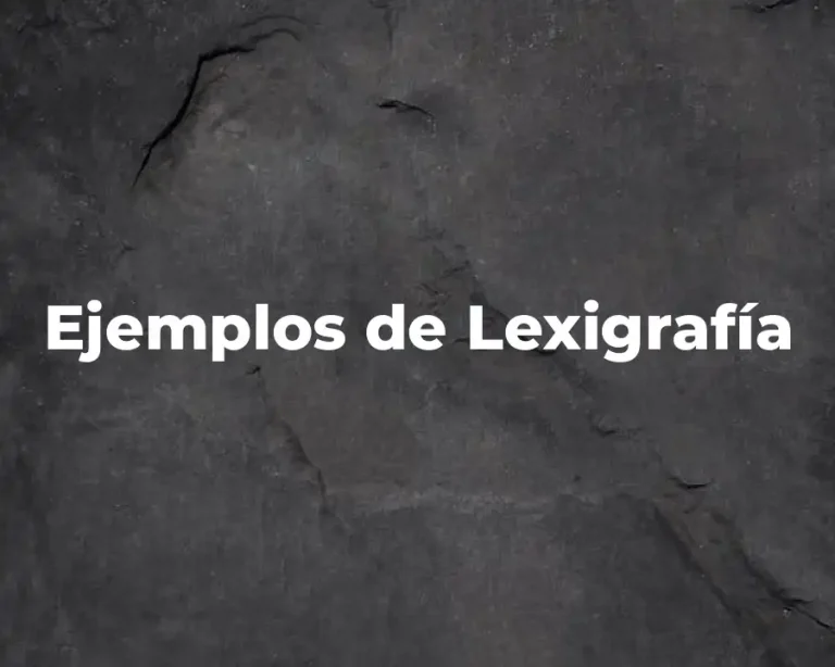 Ejemplos de Lexigrafía