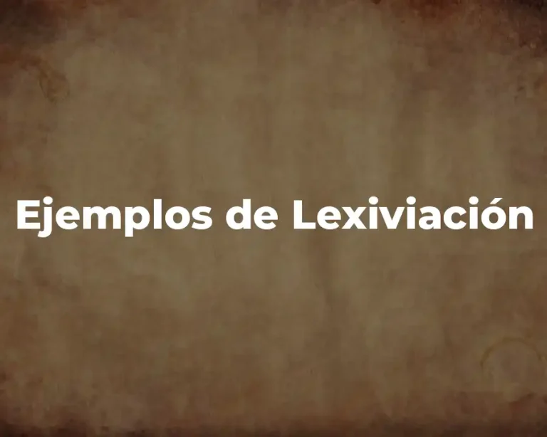 Ejemplos de Lexiviación