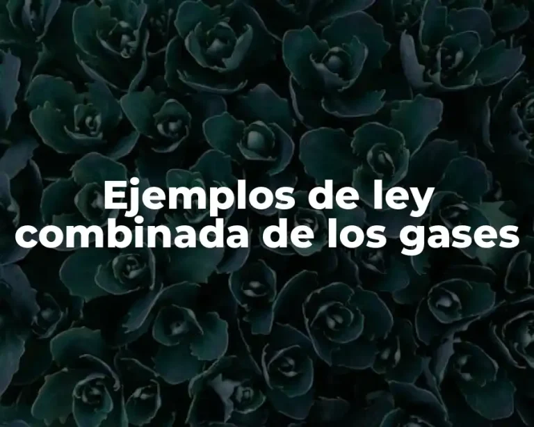 Ejemplos de ley combinada de los gases