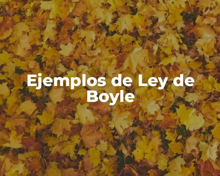 Ejemplos de Ley de Boyle