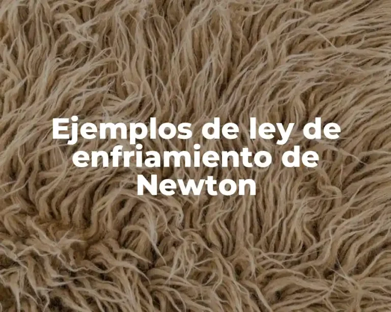 Ejemplos de ley de enfriamiento de Newton