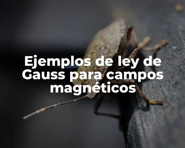 Ejemplos de ley de Gauss para campos magnéticos