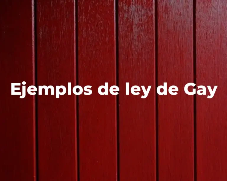 Ejemplos de ley de Gay