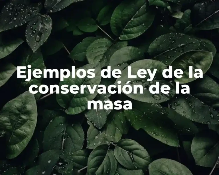 Ejemplos de Ley de la conservación de la masa