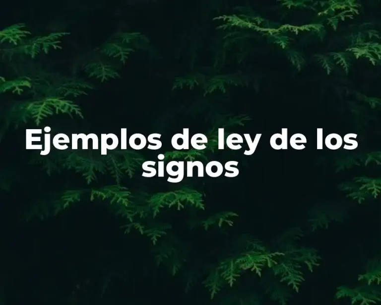 Ejemplos de ley de los signos