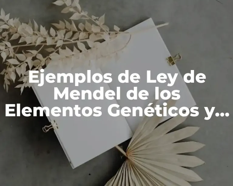 Ejemplos de Ley de Mendel de los Elementos Genéticos y Significado