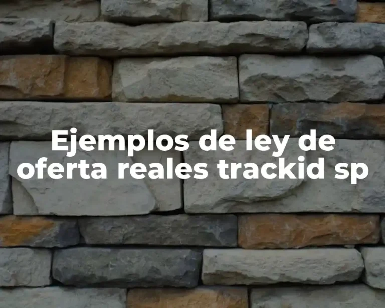 Ejemplos de ley de oferta reales trackid sp