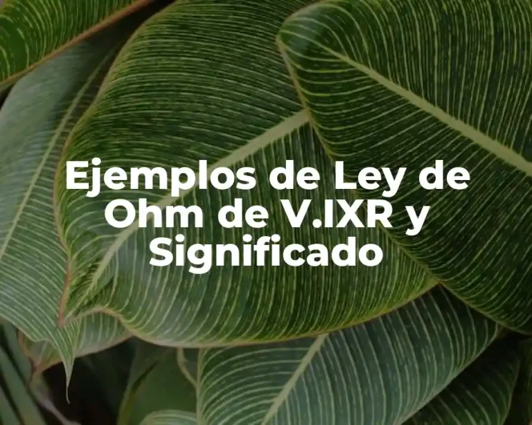 Ejemplos de Ley de Ohm de V.IXR y Significado