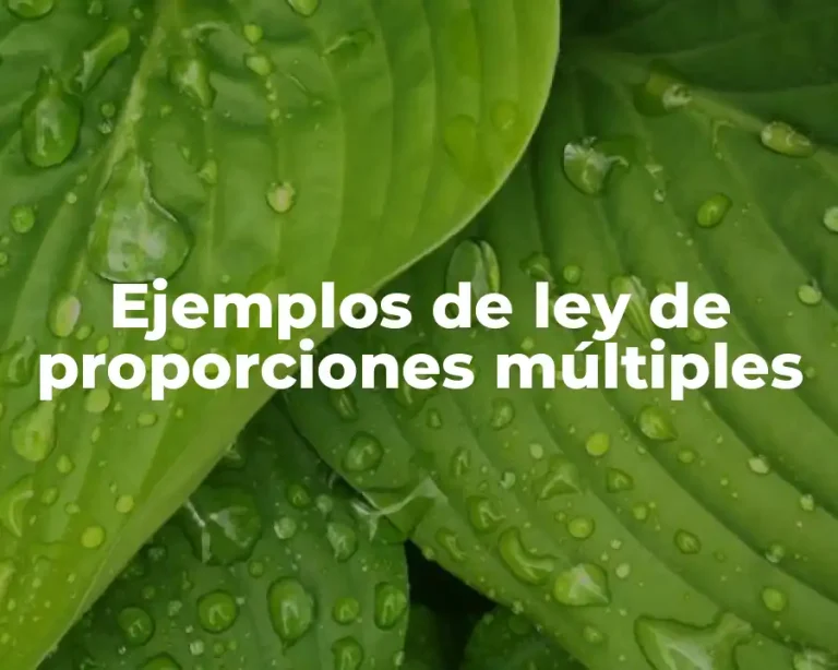Ejemplos de ley de proporciones múltiples