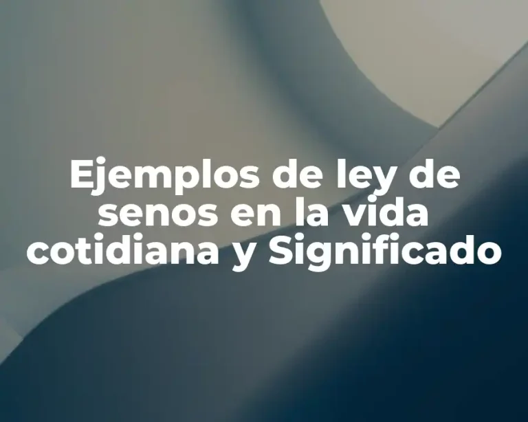 Ejemplos de ley de senos en la vida cotidiana y Significado