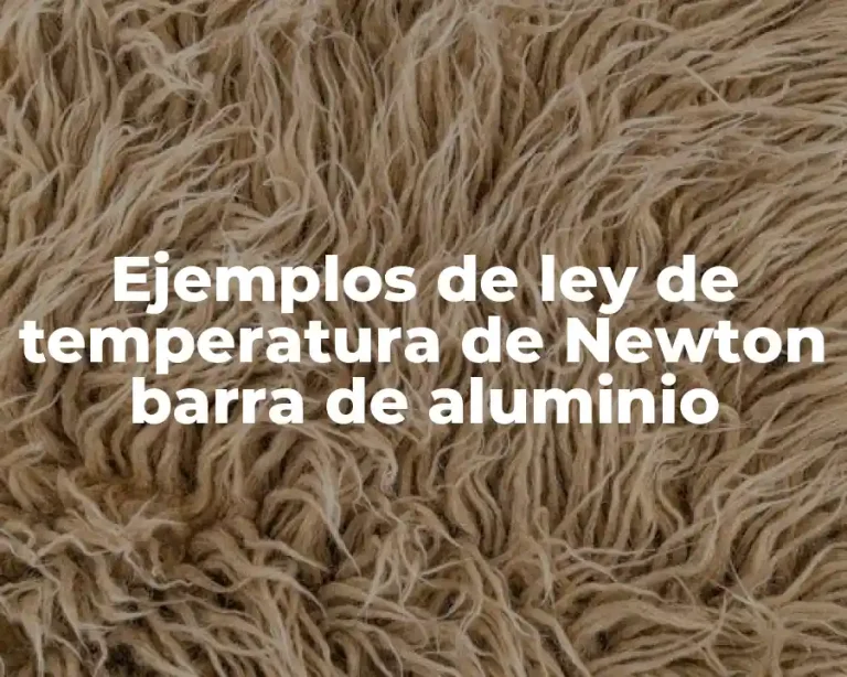 Ejemplos de ley de temperatura de Newton barra de aluminio