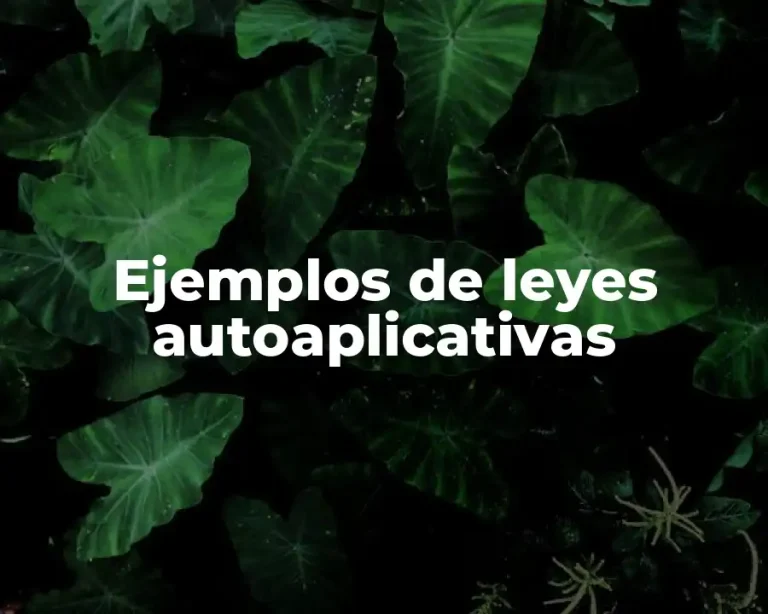 Ejemplos de leyes autoaplicativas