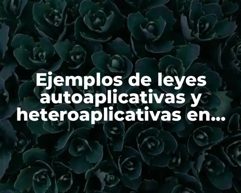 Ejemplos de leyes autoaplicativas y heteroaplicativas en México