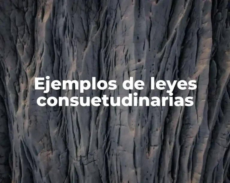 Ejemplos de leyes consuetudinarias