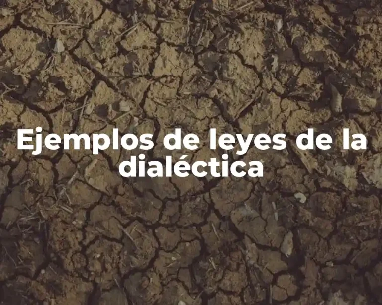 Ejemplos de leyes de la dialéctica