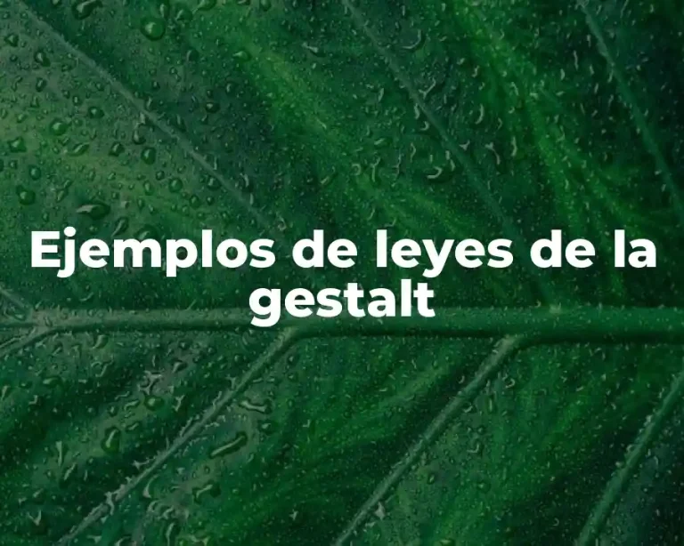 Ejemplos de leyes de la gestalt