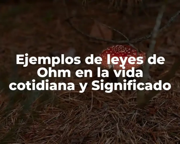 Ejemplos de leyes de Ohm en la vida cotidiana y Significado