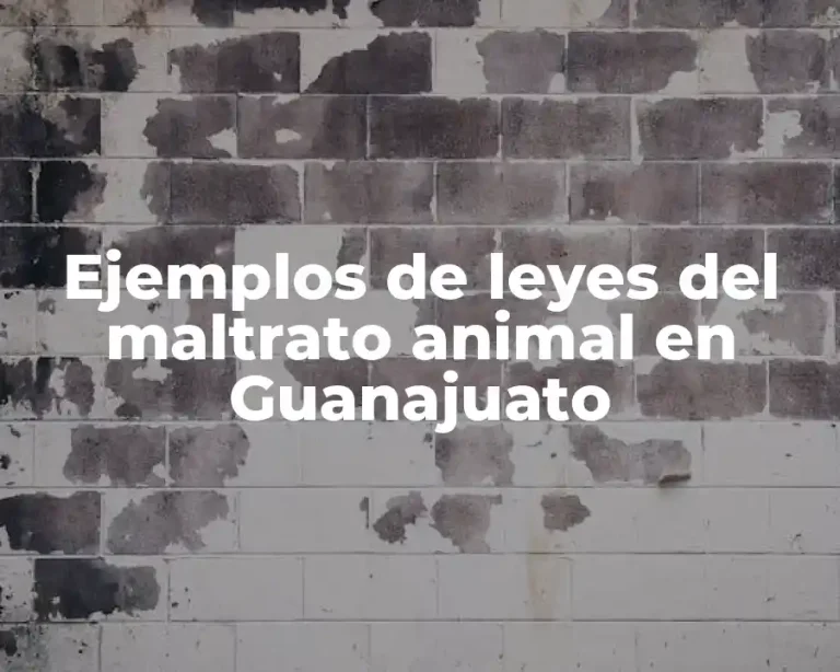 Ejemplos de leyes del maltrato animal en Guanajuato