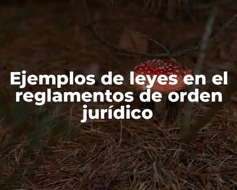 Ejemplos de leyes en el reglamentos de orden jurídico