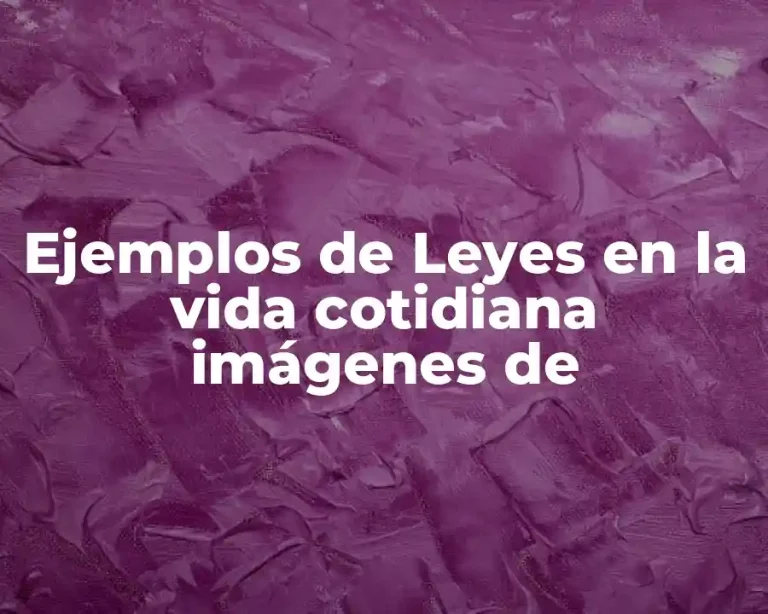 Ejemplos de Leyes en la vida cotidiana imágenes de