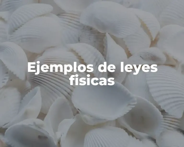 Ejemplos de leyes fisicas