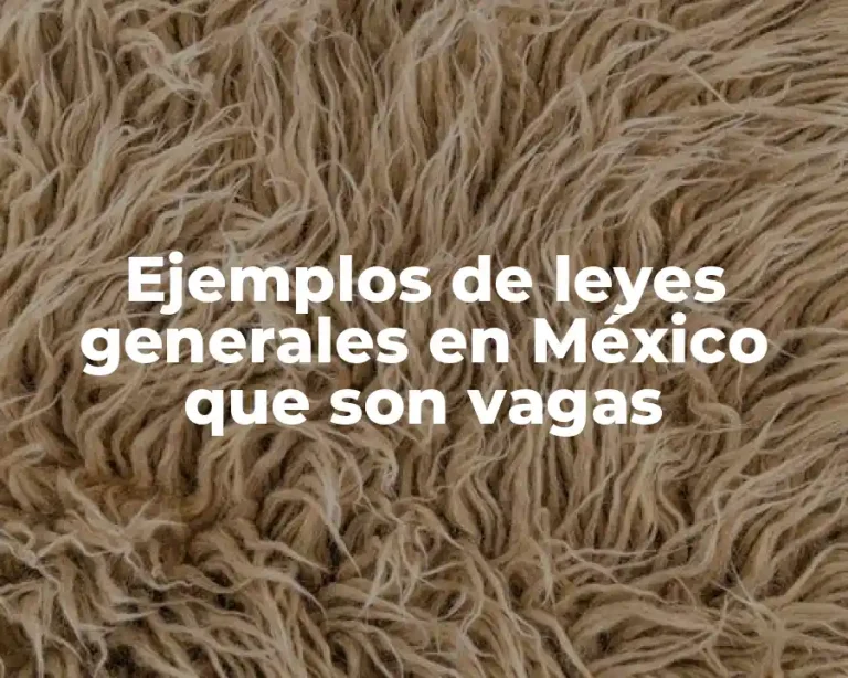 Ejemplos de leyes generales en México que son vagas