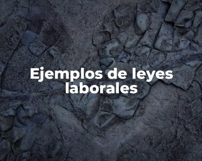 Ejemplos de leyes laborales
