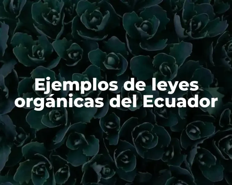 Ejemplos de leyes orgánicas del Ecuador