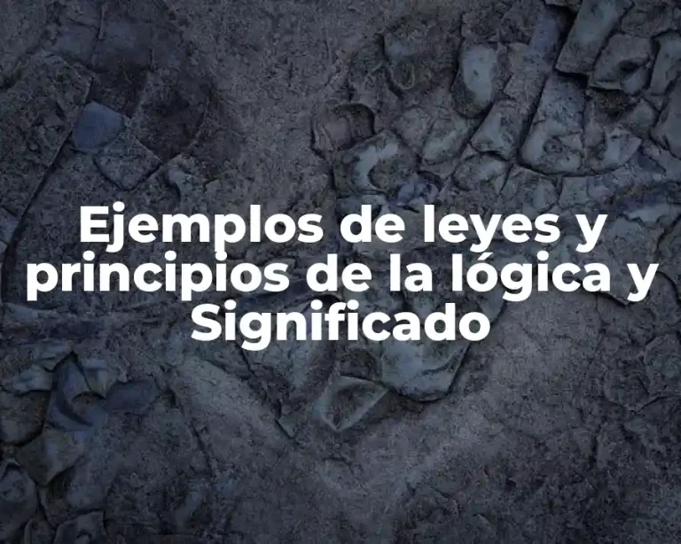 Ejemplos de leyes y principios de la lógica y Significado