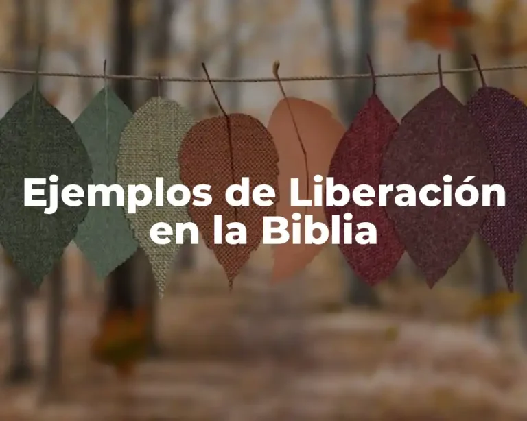 Ejemplos de Liberación en la Biblia