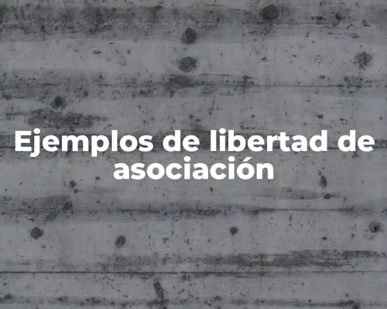 Ejemplos de libertad de asociación