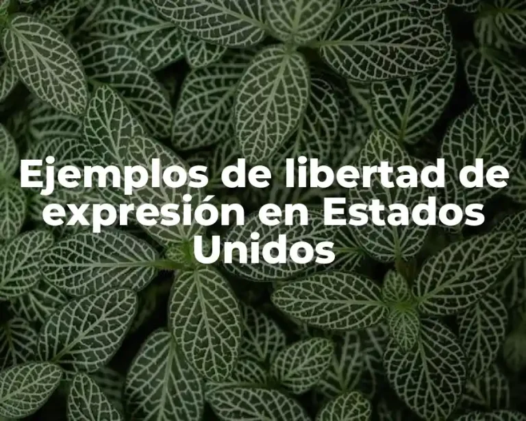 Ejemplos de libertad de expresión en Estados Unidos