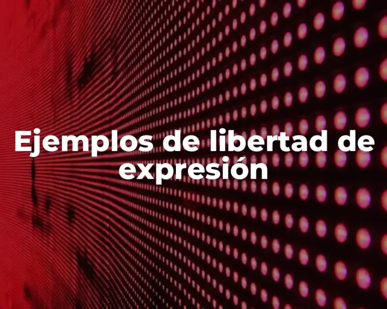 Ejemplos de libertad de expresión