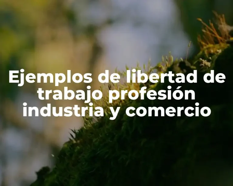 Ejemplos de libertad de trabajo profesión industria y comercio