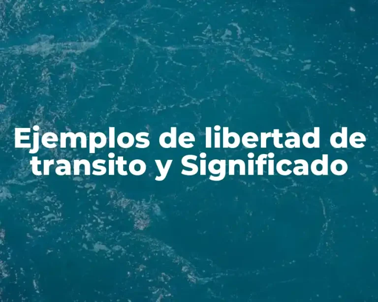 Ejemplos de libertad de transito y Significado