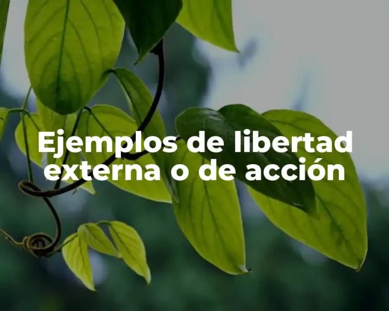 Ejemplos de libertad externa o de acción