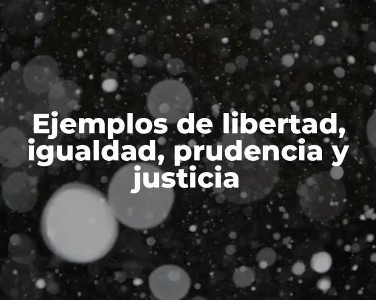 Ejemplos de libertad, igualdad, prudencia y justicia