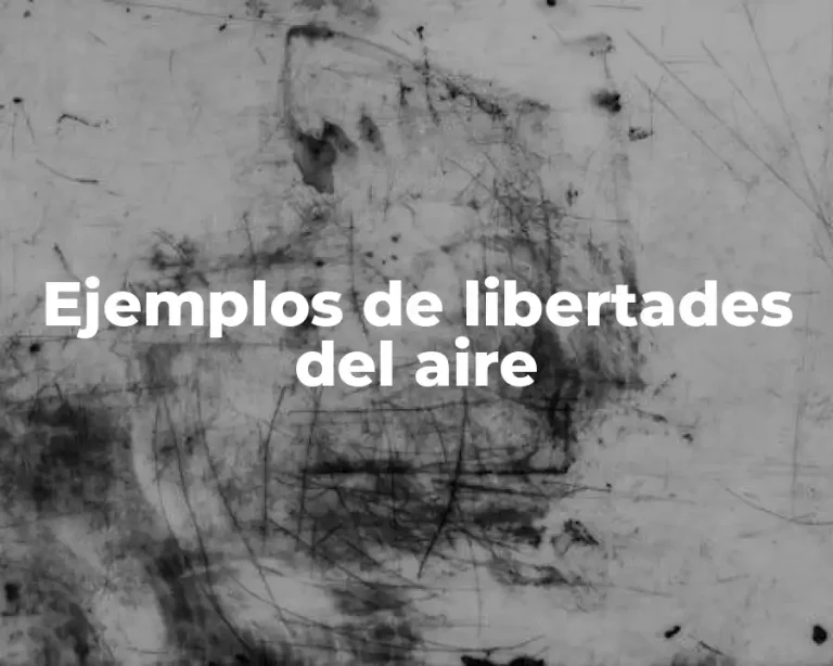 Ejemplos de libertades del aire