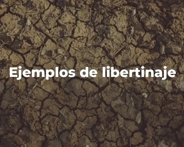 Ejemplos de libertinaje