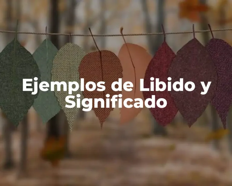 Ejemplos de Libido y Significado