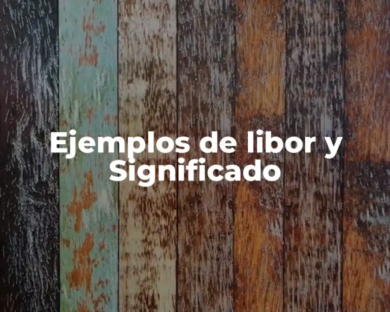 Ejemplos de libor y Significado