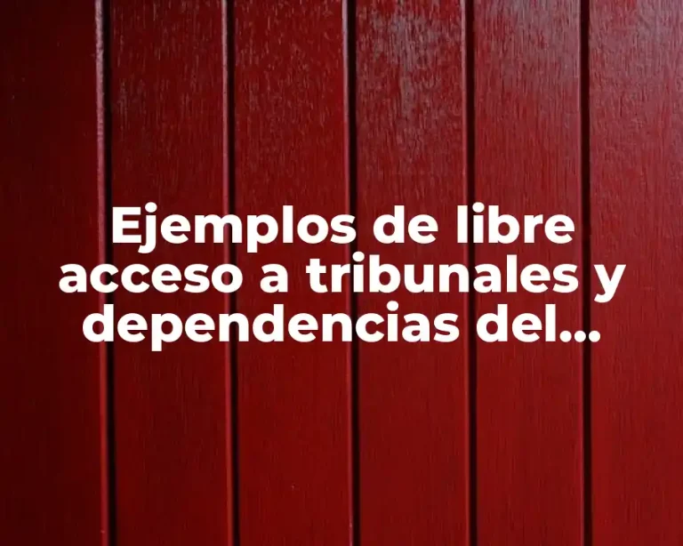 Ejemplos de libre acceso a tribunales y dependencias del estado