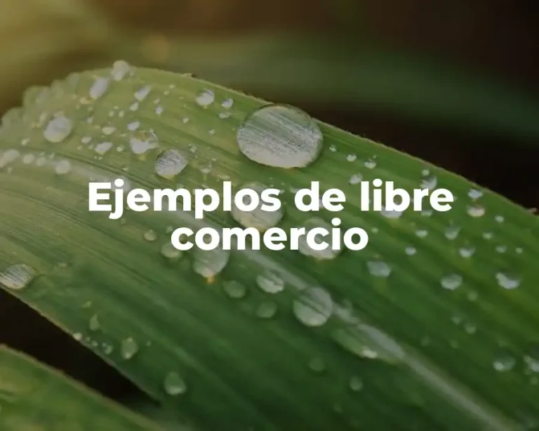 Ejemplos de libre comercio