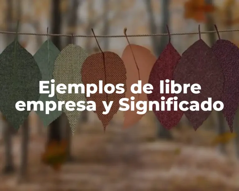 Ejemplos de libre empresa y Significado