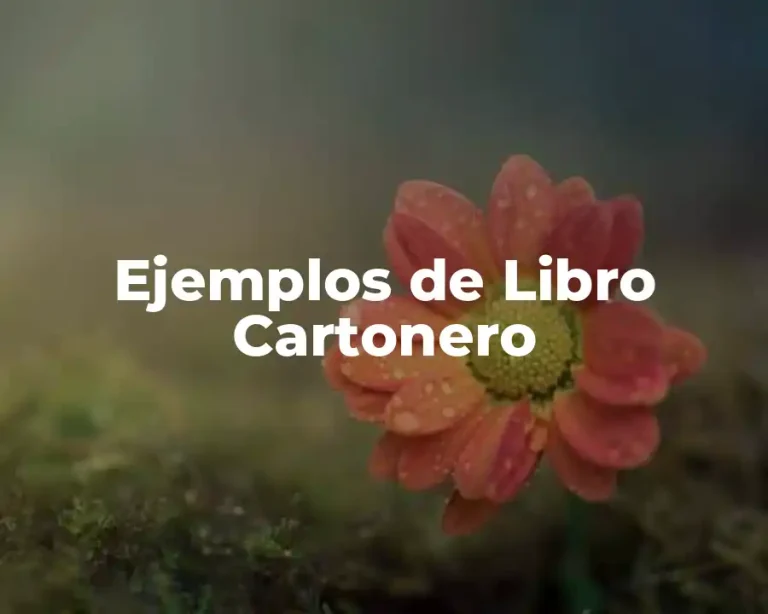 Ejemplos de Libro Cartonero